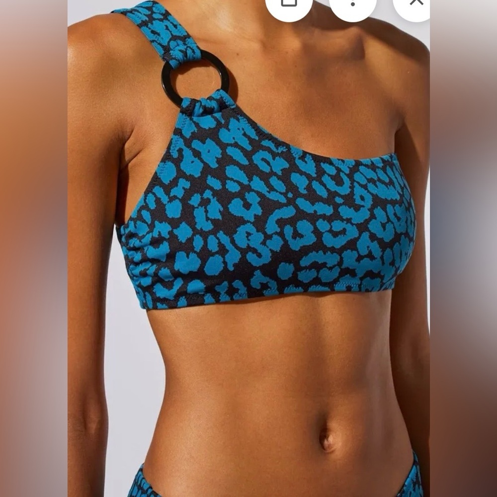 Solid & Striped Desi Bikini